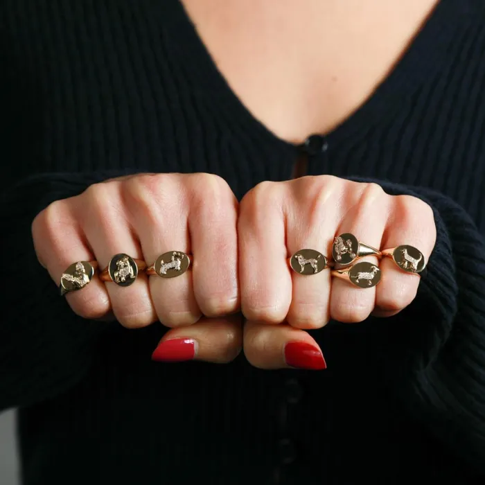 Adina Reyter Signet Pav Diamond Labrador Retriever Signet Ring Labrador Retriever 8211 Rings Adina Reyter Signet Pav Diamond Labrador Retriever Signet Ring Labrador Retriever 8211 Rings