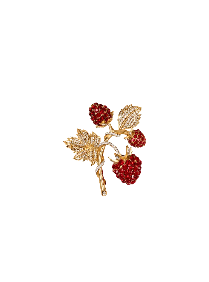 Balmain Strawberry Brooch In Brass And Rhinestones Red Women Fashion Jewelry