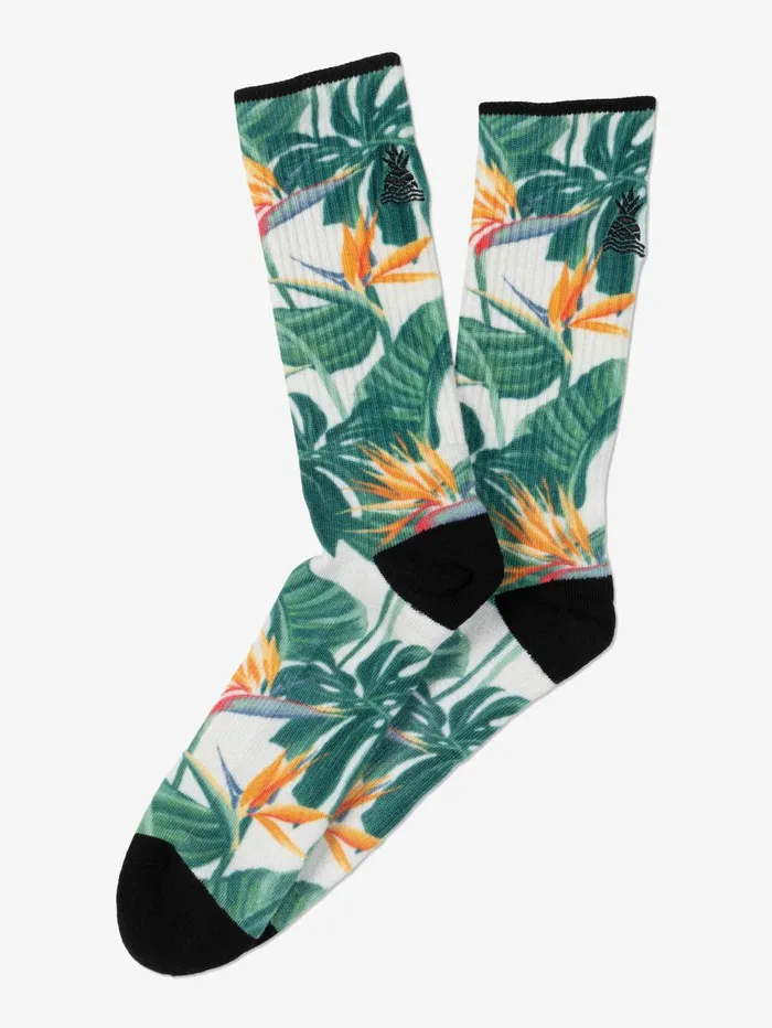 Chubbies Socks Categories The Frond Of Yous White Plant