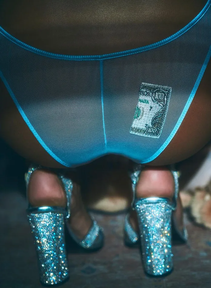 Fleur Du Mal Panties and Garters Women Big Spender Embroidery Cheeky Ice Queen