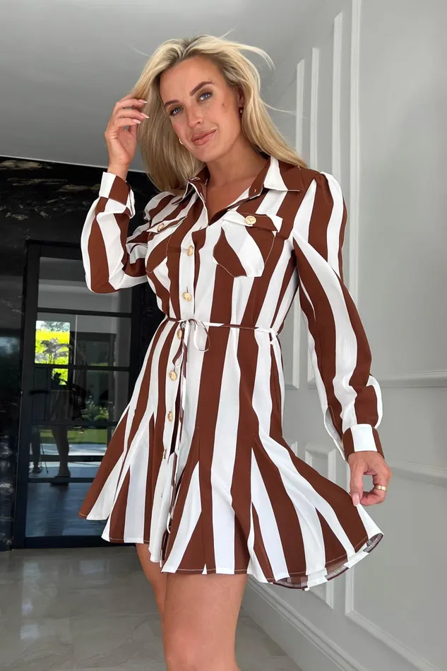 Girl In Mind Skater Dresses Francis Brown Stripe Collar Shirt Skater Dress 8211 Women Girl In Mind Skater Dresses Francis Brown Stripe Collar Shirt Skater Dress 8211 Women