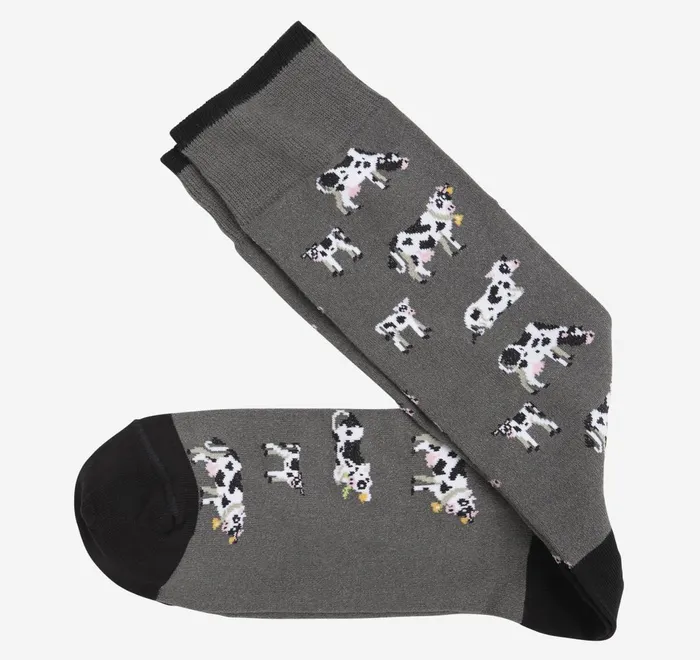 JohnstonandMurphy Socks Novelty Socks Gray Cow 8211 Men