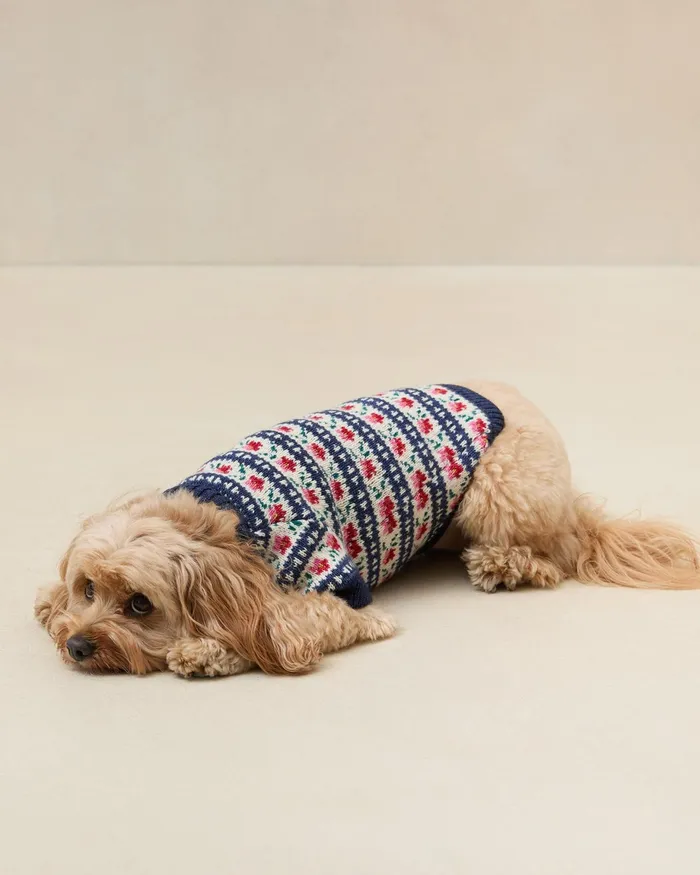 Loeffler Randall Dog Sweater Women Knitwear Loeffler Randall Dog Sweater Women Knitwear