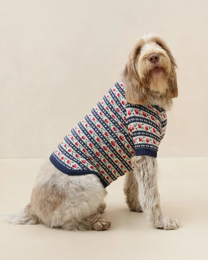 Loeffler Randall Dog Sweater Women Knitwear Loeffler Randall Dog Sweater Women Knitwear
