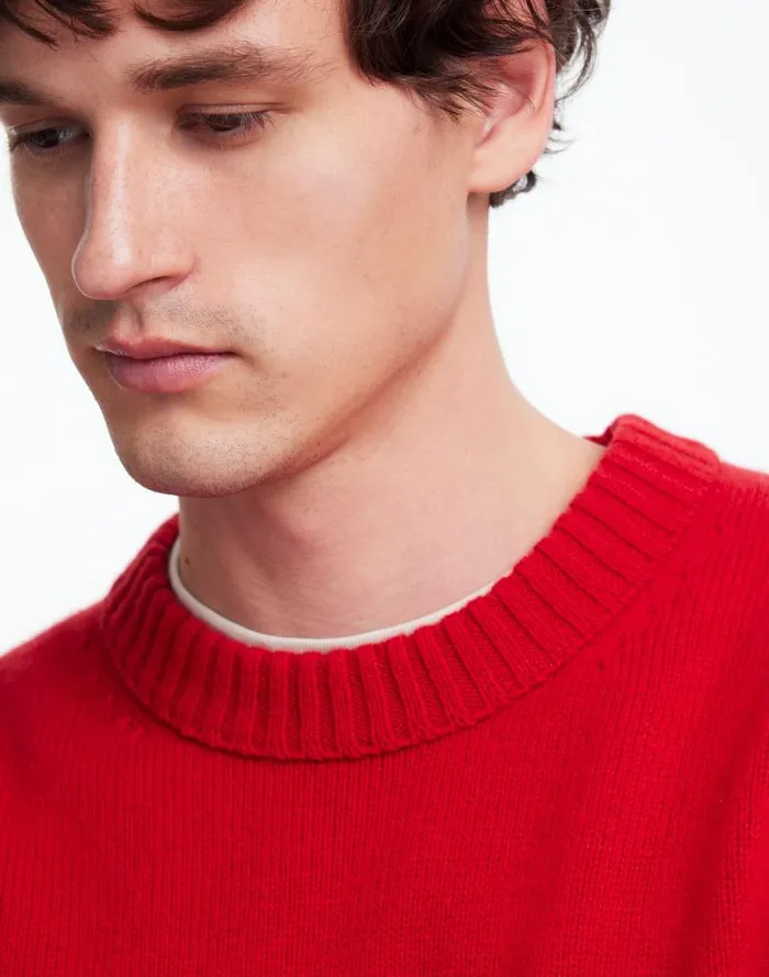 Men Crewneck Sweater In SoftWool Pomegranate Seed Madewell Sweaters