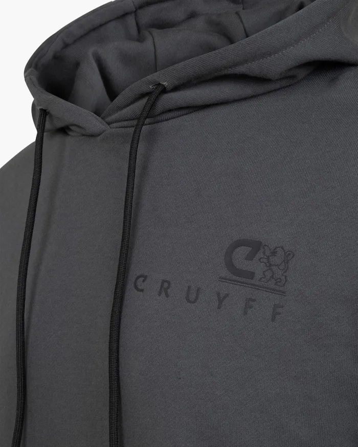 Men Cruyff Sweats and Hoodies A Pro Hoodie Light Grey Men Cruyff Sweats and Hoodies A Pro Hoodie Light Grey