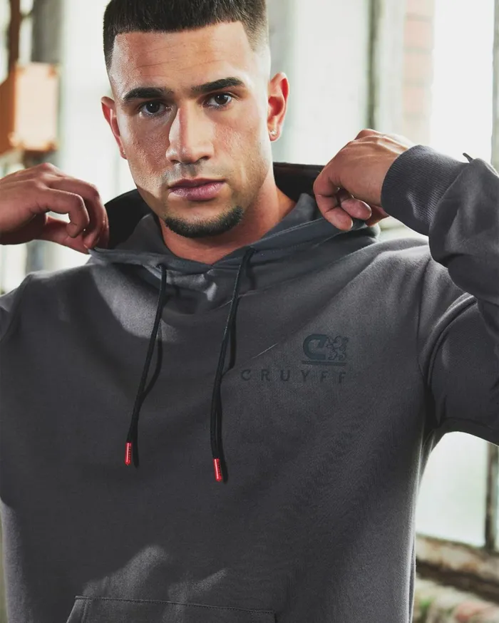 Men Cruyff Sweats and Hoodies A Pro Hoodie Light Grey Men Cruyff Sweats and Hoodies A Pro Hoodie Light Grey