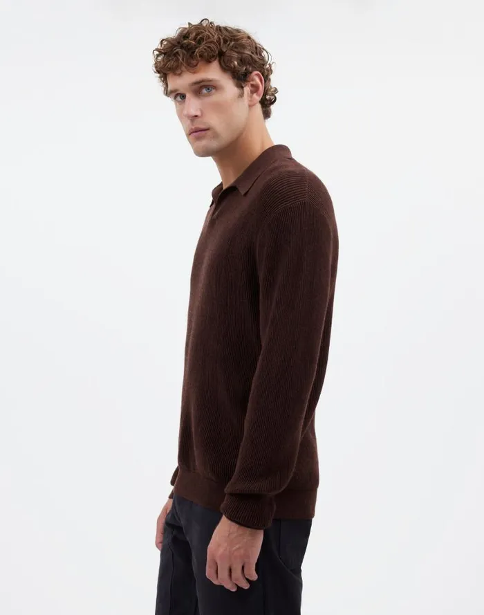 Men JohnnyCollar Sweater Polo Shirt In Merino Wool Hthr Chocolate Madewell Shirts
