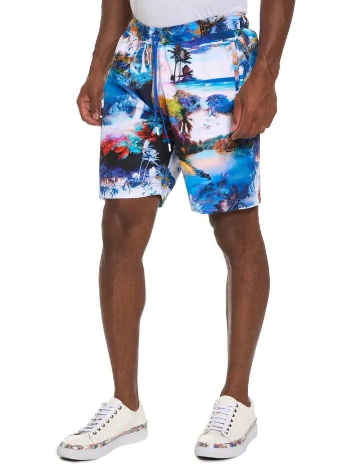 Men Robert Graham Shorts and Swim SCENIC ESCAPE SWIM SHORT MULTI