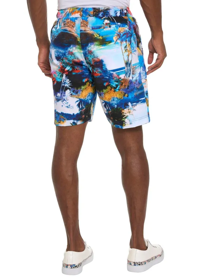 Men Robert Graham Shorts and Swim SCENIC ESCAPE SWIM SHORT MULTI