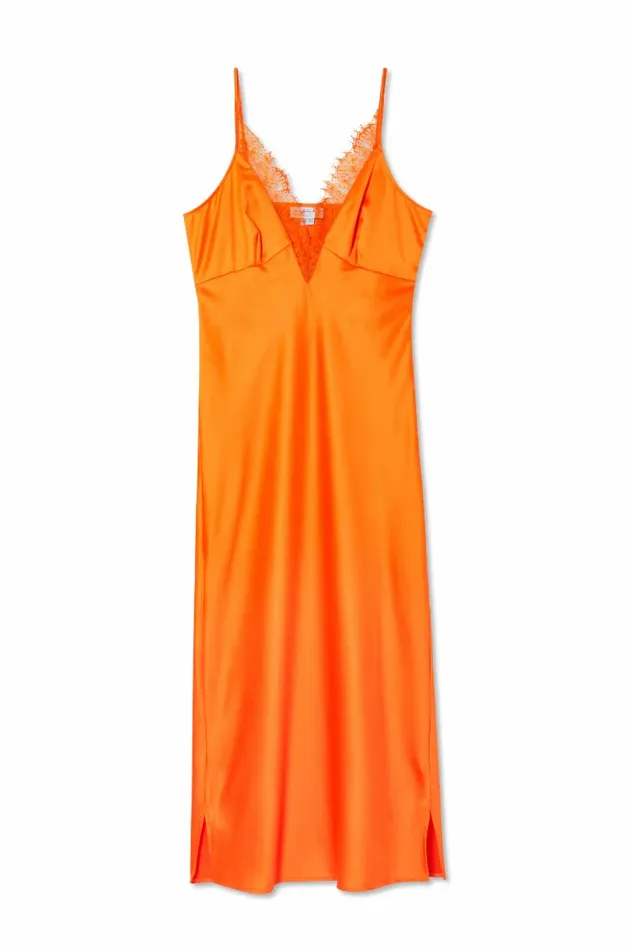 Never Fully Dressed Petite Orange Lily Dress Petite 8211 Women