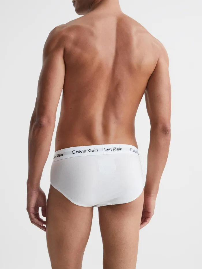 Reiss Loungewear and Nightwear Calvin Klein Underwear 3 Pack Briefs Multi 8211 Men