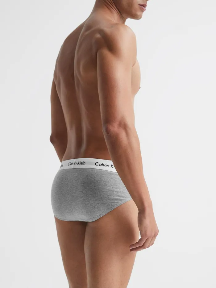 Reiss Loungewear and Nightwear Calvin Klein Underwear 3 Pack Briefs Multi 8211 Men