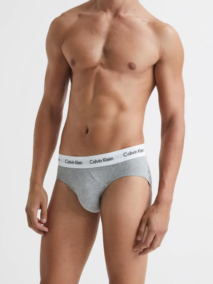 Reiss Loungewear and Nightwear Calvin Klein Underwear 3 Pack Briefs Multi 8211 Men