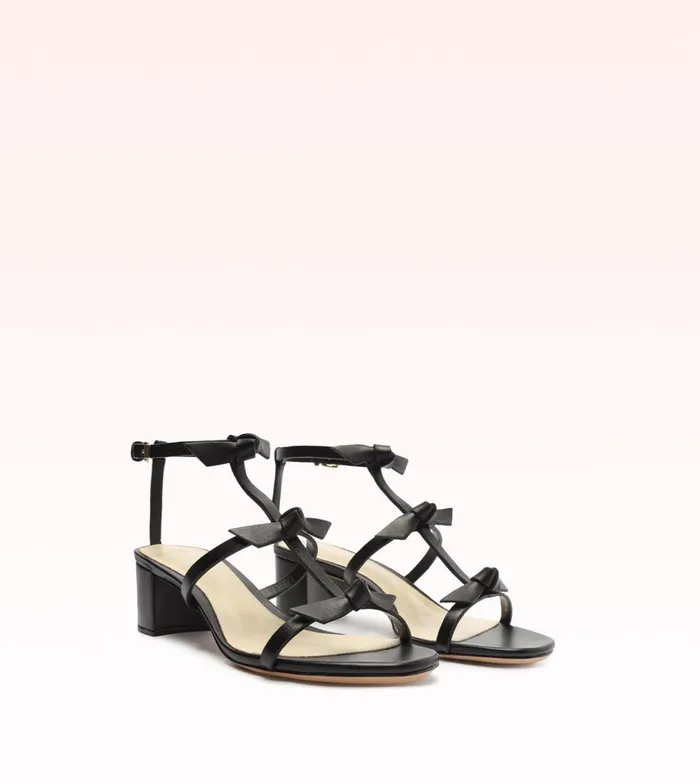 Slim Lolita 45 Black Black Women Alexandre Birman Sandals