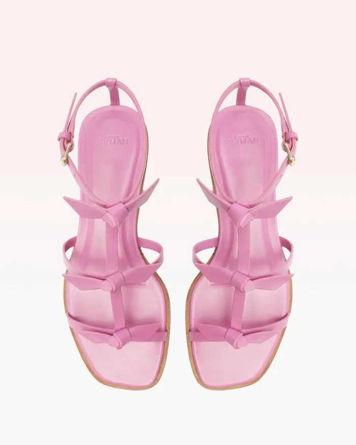 Slim Lolita Flat Rosette 8211 Casual Flat Sandals For Rosette Women Alexandre Birman Flats