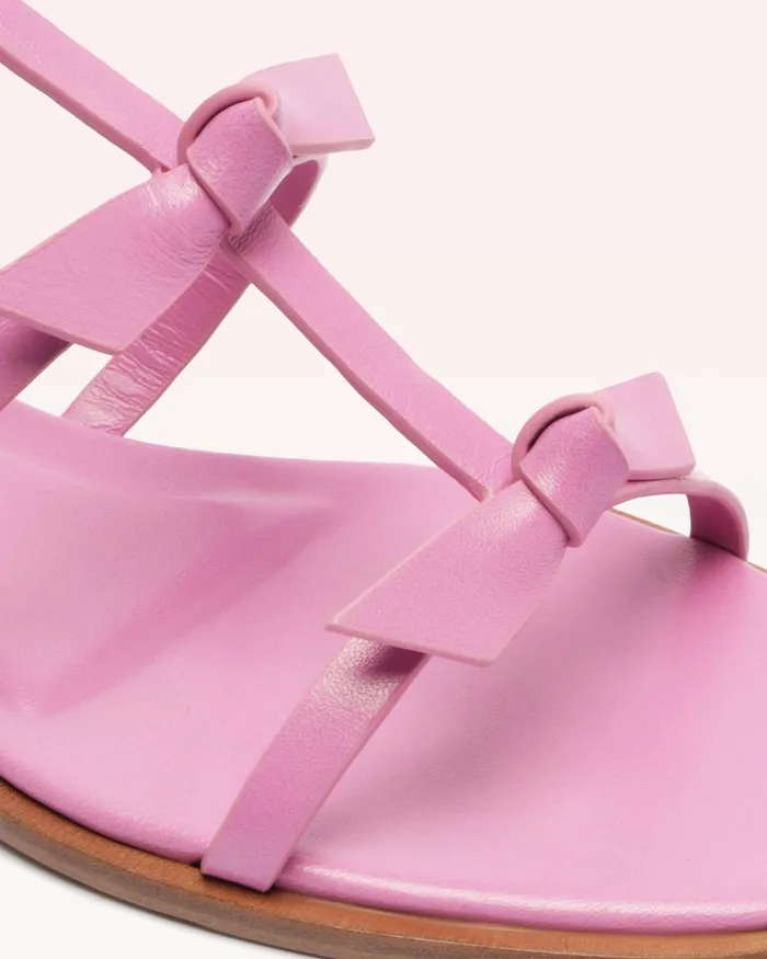 Slim Lolita Flat Rosette 8211 Casual Flat Sandals For Rosette Women Alexandre Birman Flats