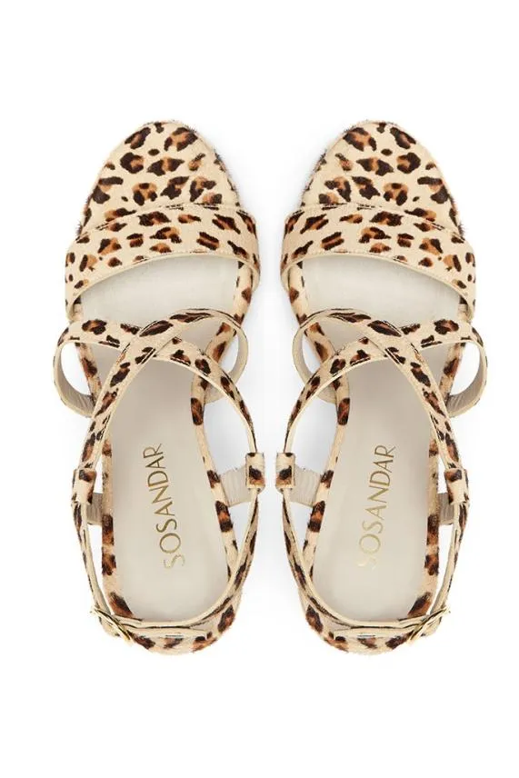 Sosandar Leopard Print Strappy Sandal Women Sandals and Flip Flops Sosandar Leopard Print Strappy Sandal Women Sandals and Flip Flops