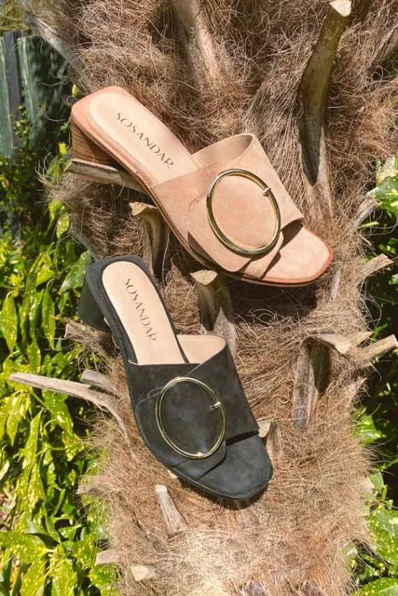 Sosandar Maddison Black Suede Mule Sandal With Gold Buckle Detail Black Women Sandals and Flip Flops