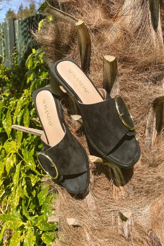 Sosandar Maddison Black Suede Mule Sandal With Gold Buckle Detail Black Women Sandals and Flip Flops