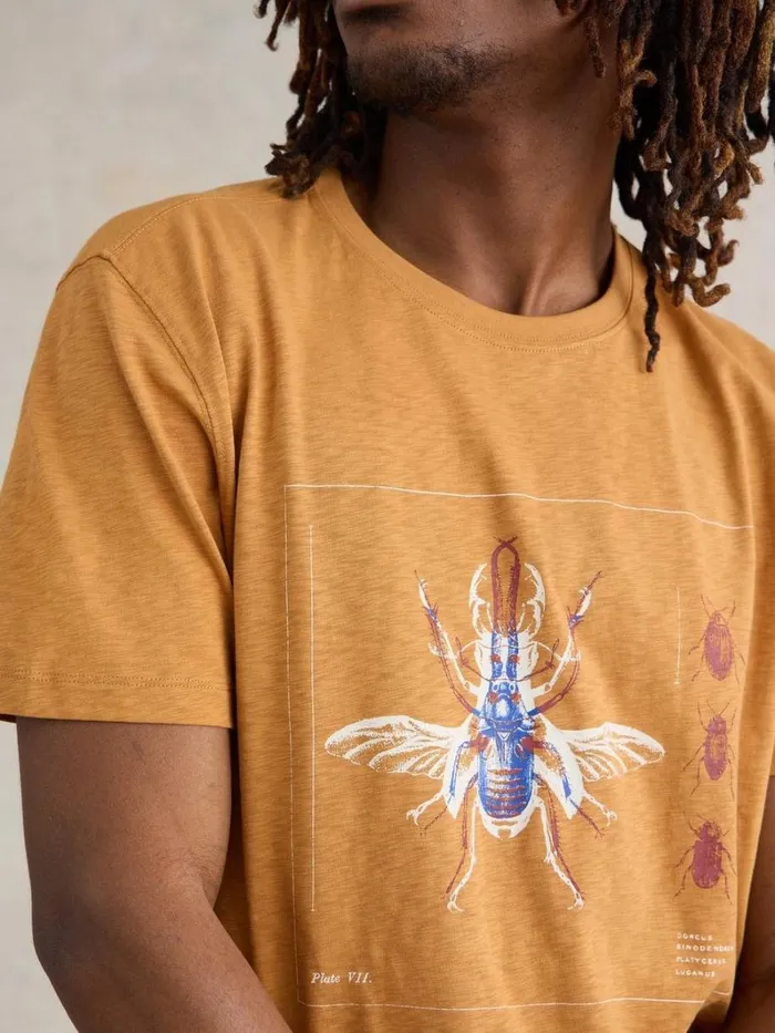 White Stuff TSHIRTS Beetle Graphic Tee Tan Print 8211 Men