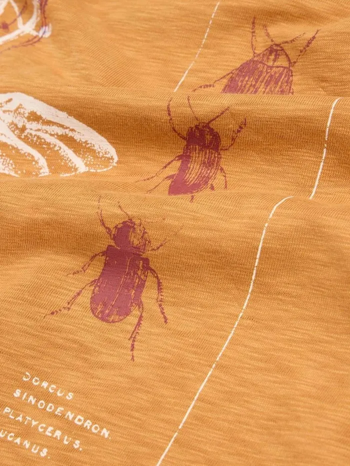 White Stuff TSHIRTS Beetle Graphic Tee Tan Print 8211 Men White Stuff TSHIRTS Beetle Graphic Tee Tan Print 8211 Men
