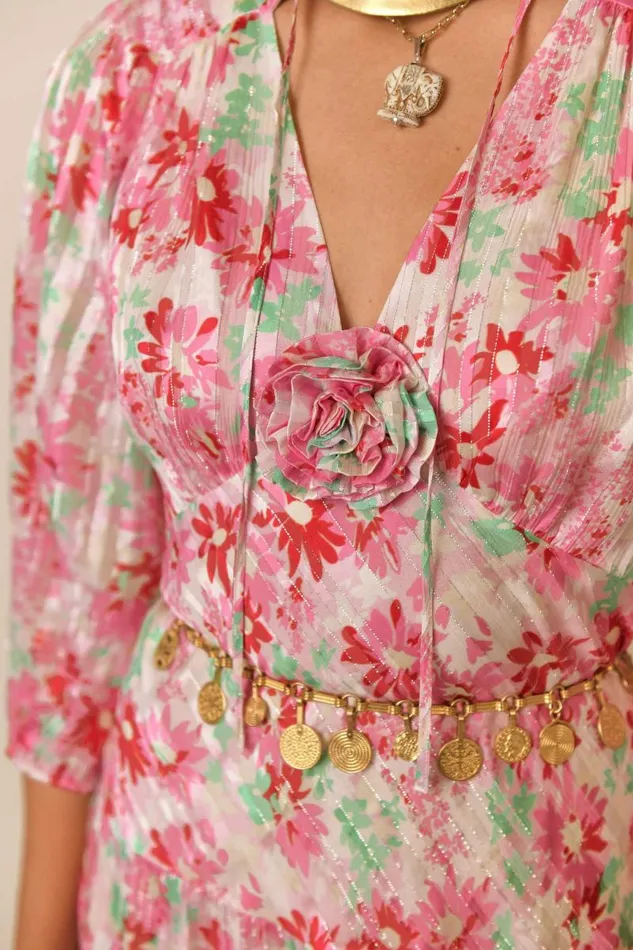 Women Dresses RIXO Devi Pink Daisy Trail Women Dresses RIXO Devi Pink Daisy Trail