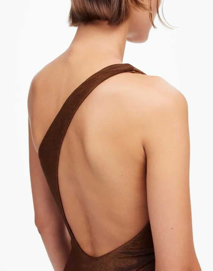 Women Jade Swim Evolve OnePiece Swimsuit Espresso Madewell Swim