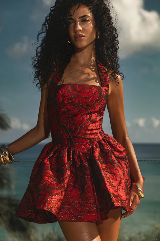 Women Mini Dresses Runaway The Label VIPER MINI DRESS Rose Print
