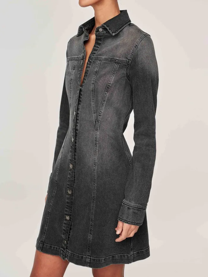 Women Payton Denim Dress Long Sleeve Mini DL1961 Dresses